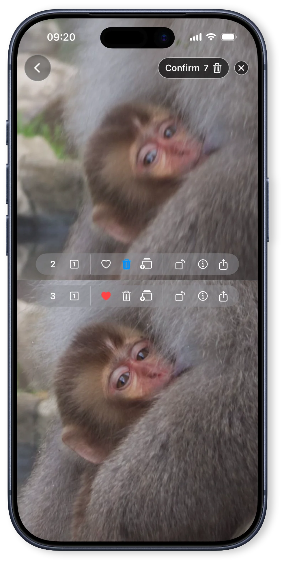 ஒத்திசைவு சூம்-உடன் படங்களை பக்கத்தில் ஒப்பிடவும்