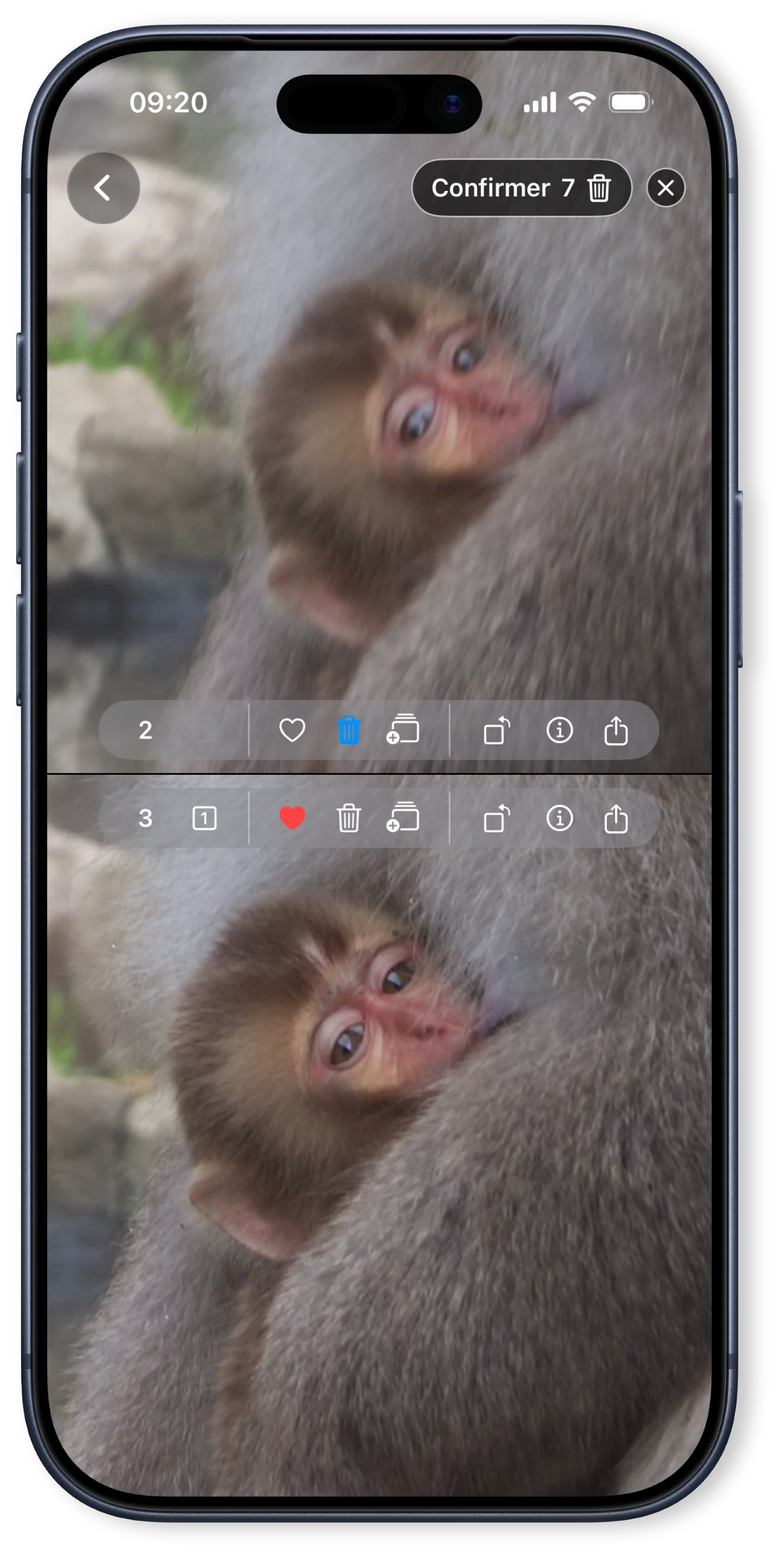 Comparez vos photos côte-à-côte avec un zoom synchronisé
