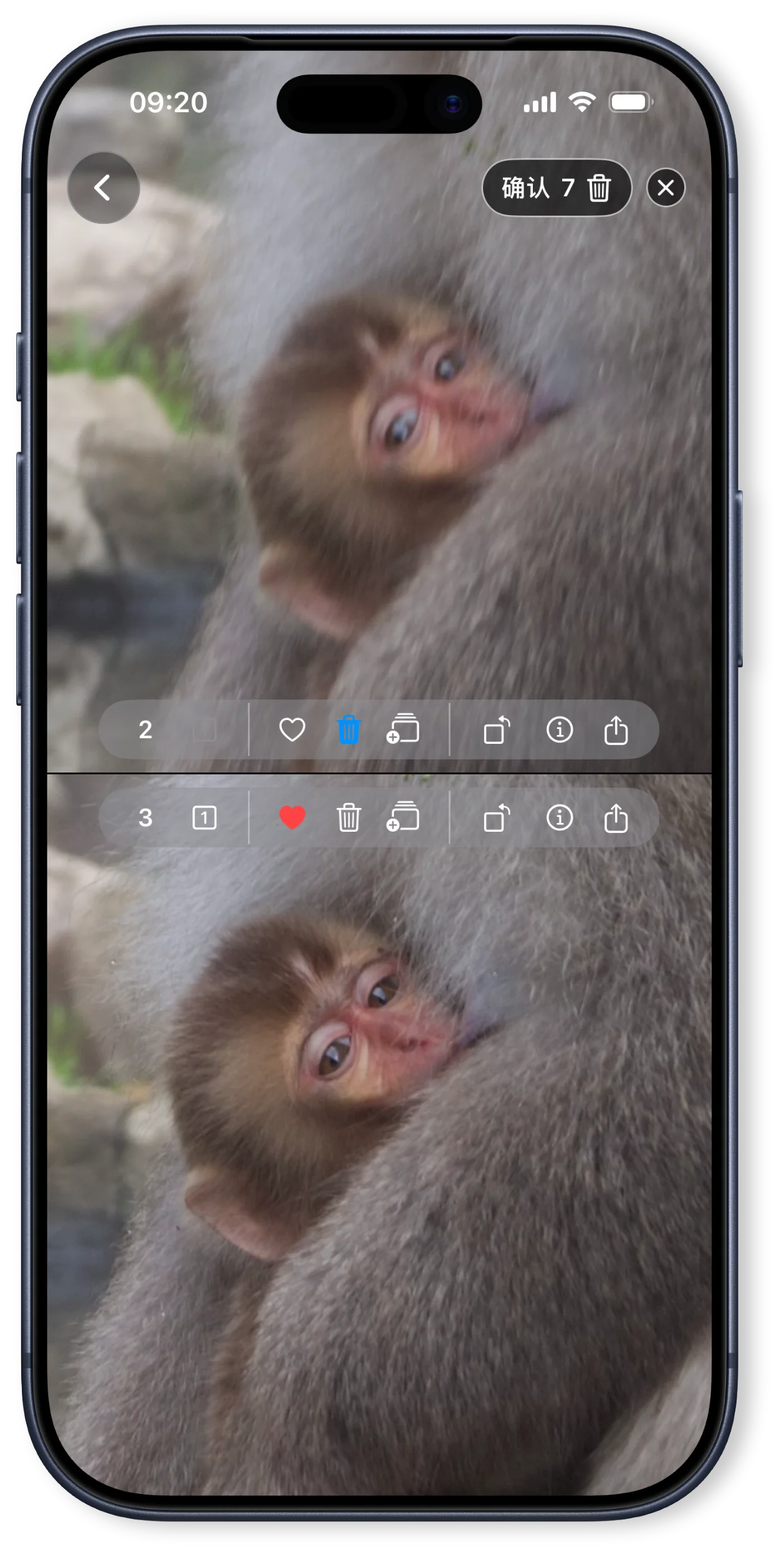 并排对比照片，同步缩放