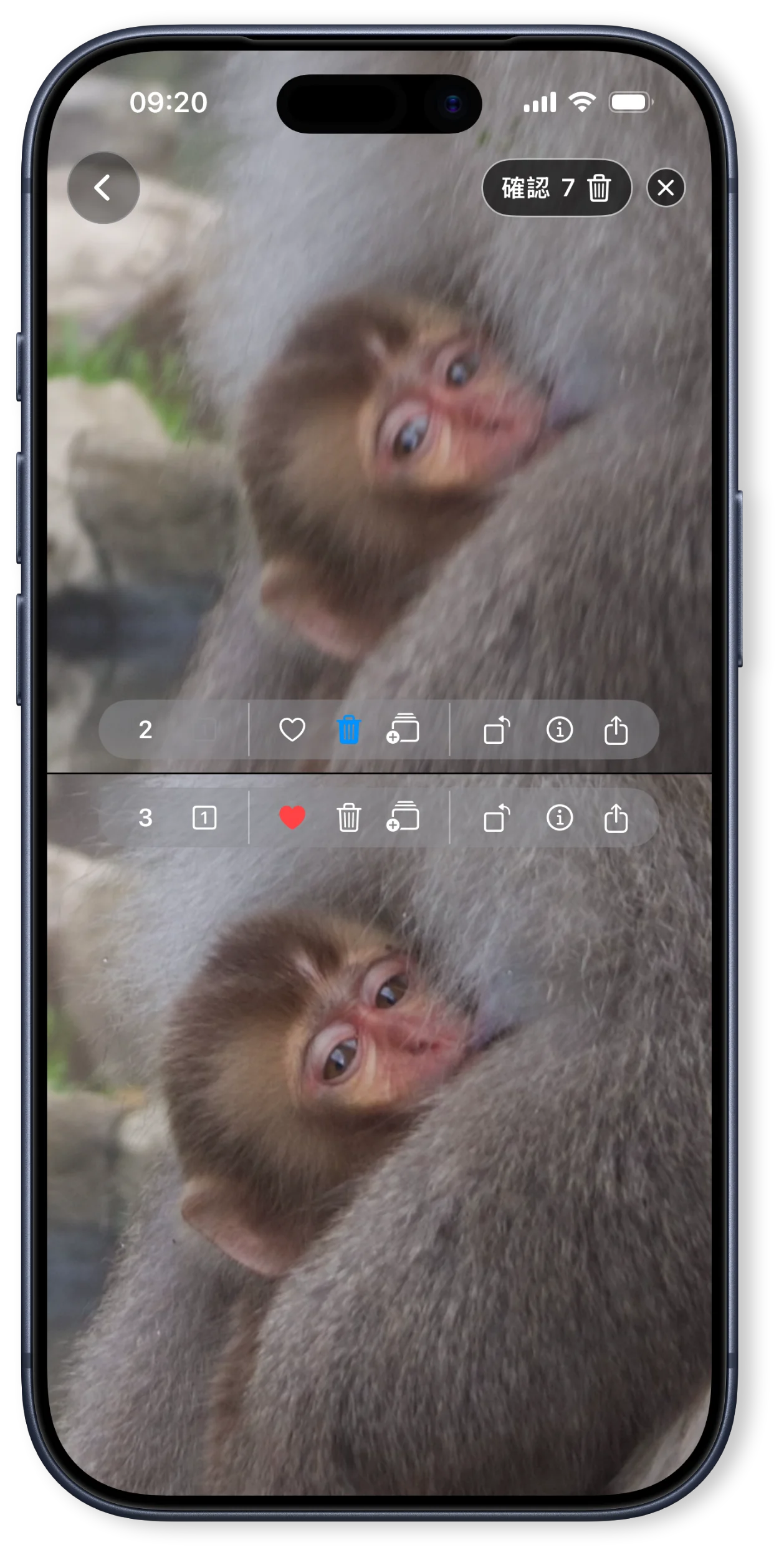 並排比較照片,同步縮放